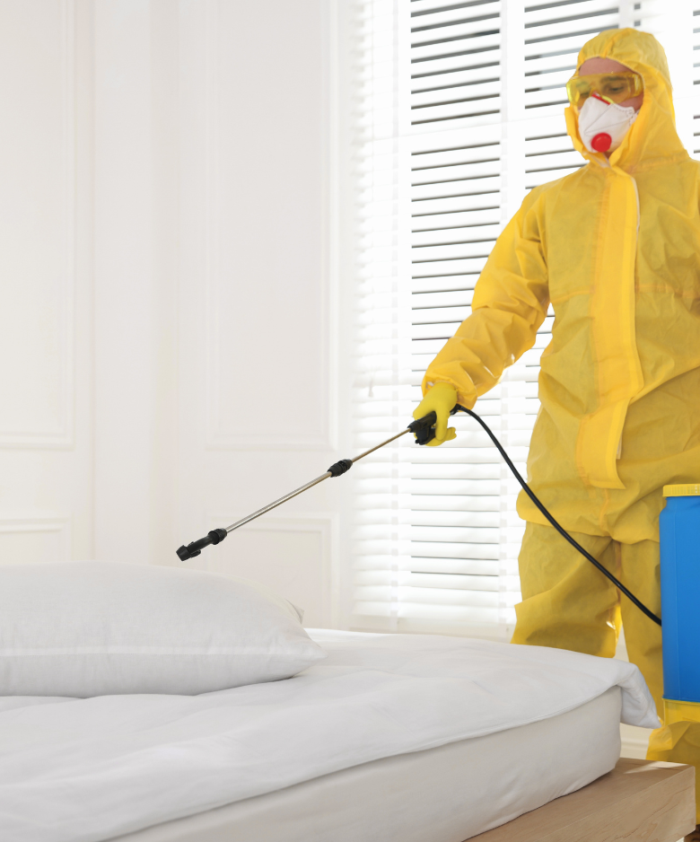 Professional Pest Control Team in Buckland Park